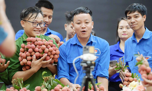 Nông thôn mới số hóa: 35% đặc sản đã bán qua sàn thương mại điện tử