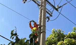 Lịch cúp điện tỉnh Bà Rịa - Vũng Tàu từ ngày 24 đến 26/6/2025
