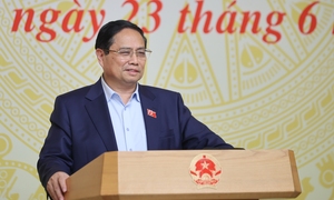 Thủ tướng: Không khoan nhượng, quét sạch thuốc giả, thực phẩm giả