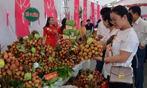 Kết nối giao thương ở Lễ hội trái cây và rau củ Việt Nam tại Singapore 2025