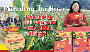 Longform | Miến dong Tài Hoan: ‘Sợi vàng’ từ núi rừng Na Rì vươn ra thế giới