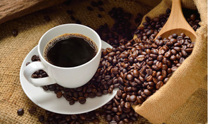 Giá cà phê Robusta quay đầu phục hồi về mức 3.904 USD/tấn