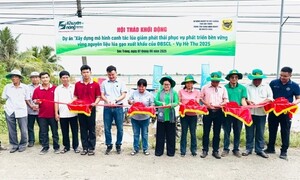 Bình Điền đẩy mạnh Dự án xây dựng mô hình canh tác lúa giảm phát thải
