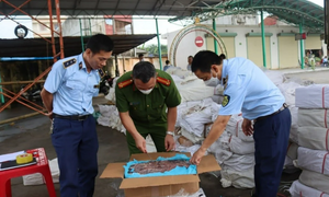 Phát hiện 14 trường hợp vi phạm an toàn thực phẩm lĩnh vực nông - lâm - thủy sản