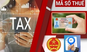 Khoảng 15 triệu mã số thuế chưa khớp dữ liệu căn cước công dân