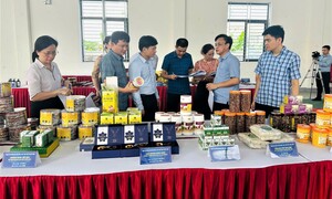 Hà Tĩnh: Bình chọn sản phẩm công nghiệp nông thôn tiêu biểu năm 2025