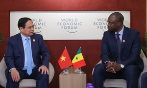 Việt Nam - Senegal sẽ tăng cường hoạt động xúc tiến thương mại, đầu tư