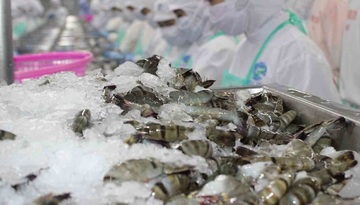 Thủy sản Việt tăng tốc thâm nhập thị trường Nhật Bản