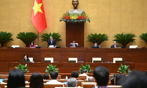 Quốc hội thông qua Luật Tham gia lực lượng gìn giữ hòa bình của Liên hợp quốc