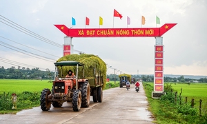 Từ 1/7 sẽ tiến hành Tổng điều tra nông thôn, nông nghiệp