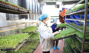 Doanh nghiệp Algeria tìm cơ hội hợp tác về chế biến nông, thủy sản