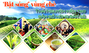 Longform | ‘Bật sóng’ vùng chè, Thái Nguyên kiến tạo bản đồ nông sản số