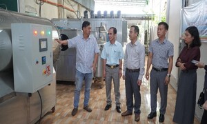 Bà Rịa - Vũng Tàu: Hiệu quả từ chương trình khuyến công