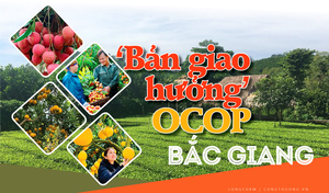 Longform | ‘Bản giao hưởng’ OCOP Bắc Giang