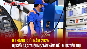 6 tháng cuối năm 2025, dự kiến 14,3 triệu m3/tấn xăng dầu được tiêu thụ