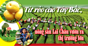 Longform | Từ rẻo cao Tây Bắc, nông sản Lai Châu vươn ra thị trường lớn