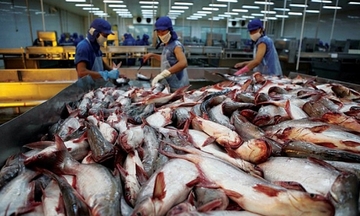  Cá tra Việt Nam khởi sắc, kỳ vọng tăng trưởng hai chữ số năm 2025
