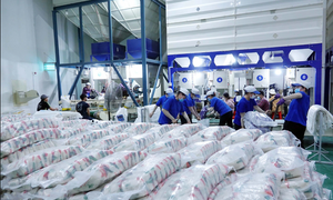 Kiến nghị nâng hạn ngạch xuất khẩu gạo sang EU theo EVFTA