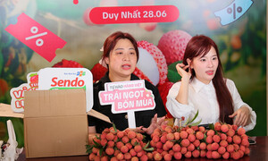 Tin Công Thương 1/7: Vải thiều 'cháy hàng' sau 48 giờ livestream trên TikTok