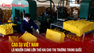 Cao su Việt Nam là nguồn cung lớn thứ hai cho thị trường Trung Quốc