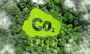 EU đề xuất mở cửa tín chỉ carbon: Doanh nghiệp Việt đã sẵn sàng?