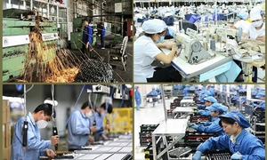 Doanh nghiệp cần chủ động mở rộng hệ thống phân phối hàng hóa ra nước ngoài