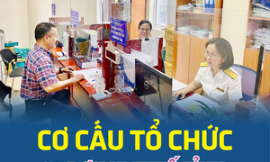 Infographics: Cơ cấu tổ chức 34 đơn vị thuế tỉnh, thành phố sau sáp nhập