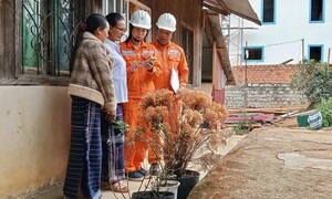 Cái bắt tay giữa 'nhà nông' và 'nhà đèn' trong việc tiết kiệm điện