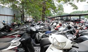 Thanh Hóa: gần 7.000 phương tiện 'đắp chiếu' chờ xử lý
