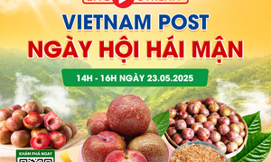 Sàn thương mại điện tử góp phần gỡ ‘nút thắt’ nông sản miền núi