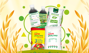 Bộ ba vàng vô cơ – hữu cơ – sinh học của Phú Mỹ - PVFCCo