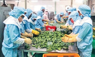 Thị trường Singapore - đại lộ cho rau quả Việt vào chuỗi phân phối quốc tế