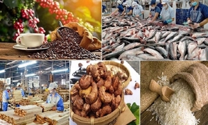 6 tháng đầu năm, xuất khẩu nông, lâm, thủy sản tăng hơn 15%