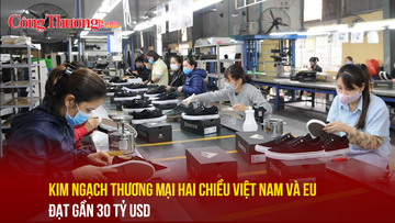 Kim ngạch thương mại hai chiều Việt Nam và EU đạt gần 30 tỷ USD