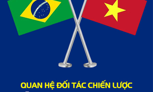 Infographic: Quan hệ Đối tác chiến lược Việt Nam - Brazil