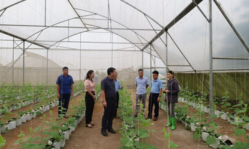 Thanh Hóa: Thắp ngọn lửa hy vọng giảm nghèo bền vững