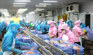 Cơ hội tạo đột phá hợp tác thương mại, đầu tư Việt Nam - Brazil