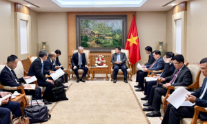 Phó Thủ tướng đề nghị Tập đoàn Erex mở rộng đầu tư điện sinh khối tại Việt Nam