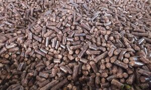 Xuất khẩu viên nén: Tăng trưởng 2 con số và 5 thách thức lớn