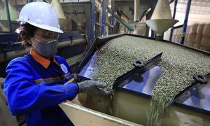 Ưu đãi thuế từ EVFTA giúp nông sản Đắk Lắk gia tăng lợi thế tại EU