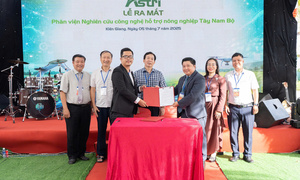 Hợp tác phát triển 1.500 ha lúa công nghệ cao gắn với phát triển tín chỉ carbon
