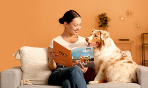 Hợp đồng bảo hiểm thời đại mới: FWD biến tài liệu pháp lý thành trải nghiệm gần gũi