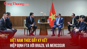 Việt Nam thúc đẩy ký kết Hiệp định FTA với Brazil và Mercosur
