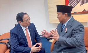 Việt Nam- Indonesia: Nhất trí thúc đẩy ký kết hiệp định thương mại gạo