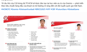 18 cầu thủ Việt Nam sang Brazil du học, vào đội của HLV Luiz Felipe Scolari