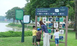 Gamuda Land gieo mầm sống xanh từ những điều giản dị