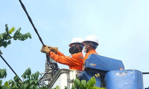 Công ty Điện lực Hải Phòng đồng hành cùng khách hàng sử dụng điện tiết kiệm
