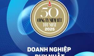 Bảo Việt – doanh nghiệp bảo hiểm duy nhất giữ vững vị trí Top 50 từ 2013–2025