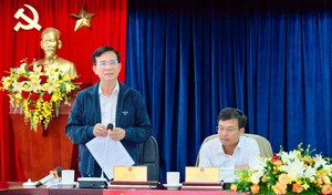 Tỉnh Lâm Đồng đặt mục tiêu xây dựng Đà Lạt không khói thuốc, không còi xe