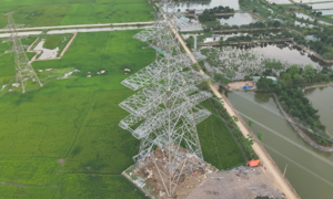EVNNPT chủ động phối hợp với địa phương thúc đẩy các dự án truyền tải sau sáp nhập